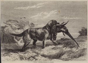 Chasse au faisan - Richard Ansdell